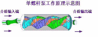 灌胶机螺杆泵工作原理图